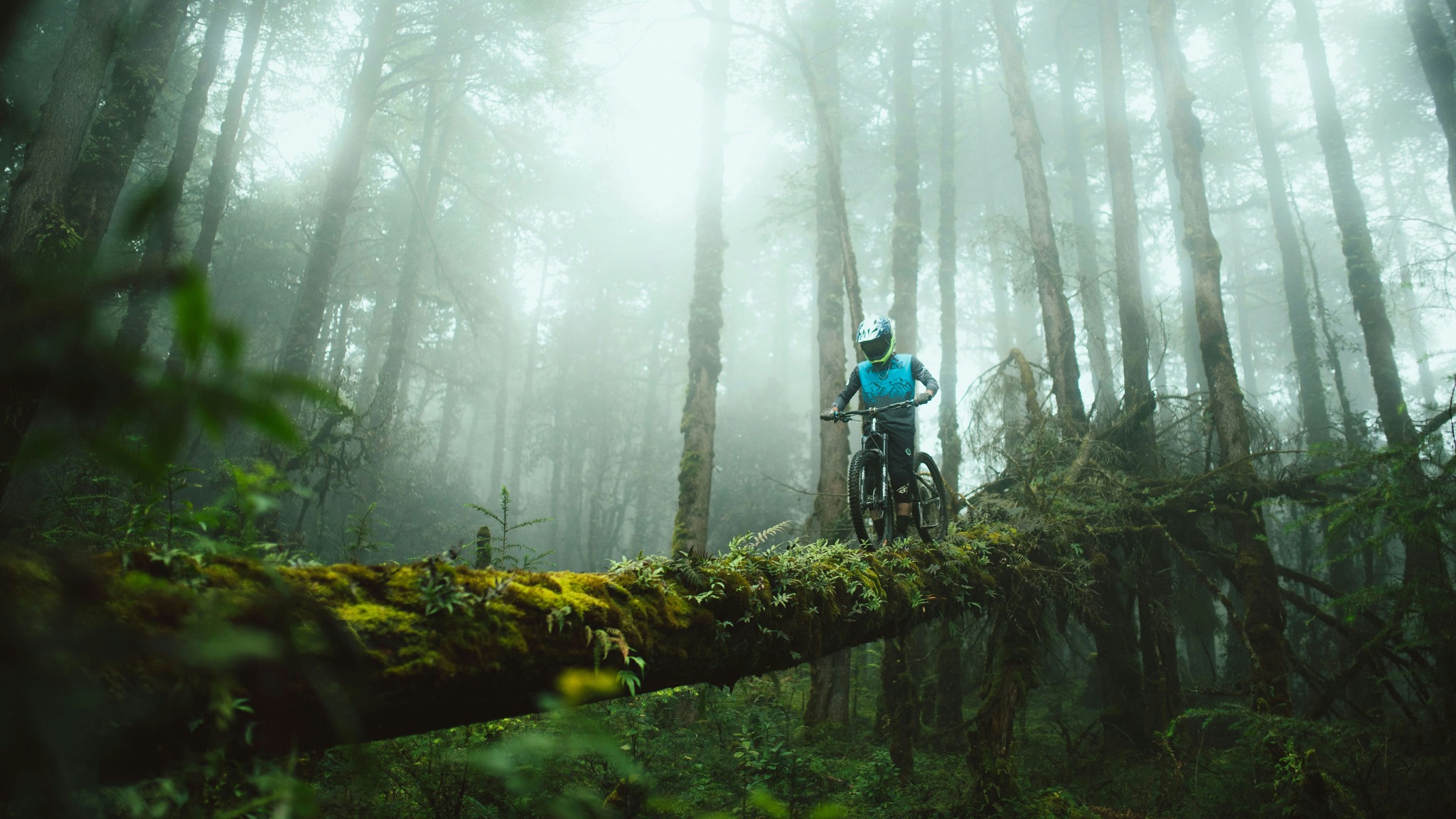 Exploring the Hidden Trails of the Himalayas